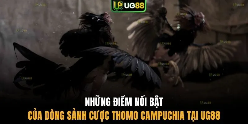 Những điểm nổi bật của trận đấu Thomo Campuchia 